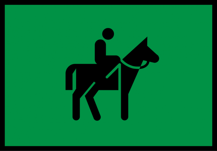 Cavalgada e Passeio de Charrete